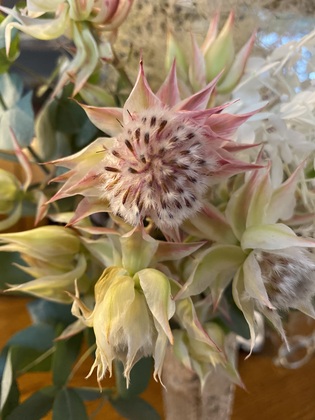 8月