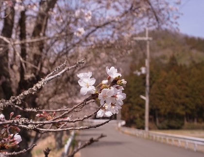 身体が疲れている時