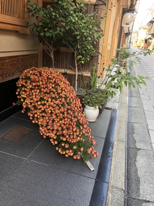 季節を愉しむ