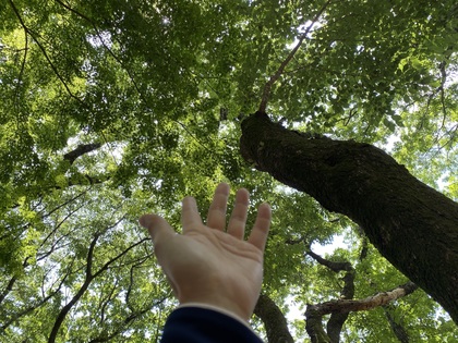 基本に忠実に