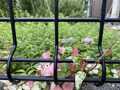 奥にある使っていない筋肉を緩める必要がある時