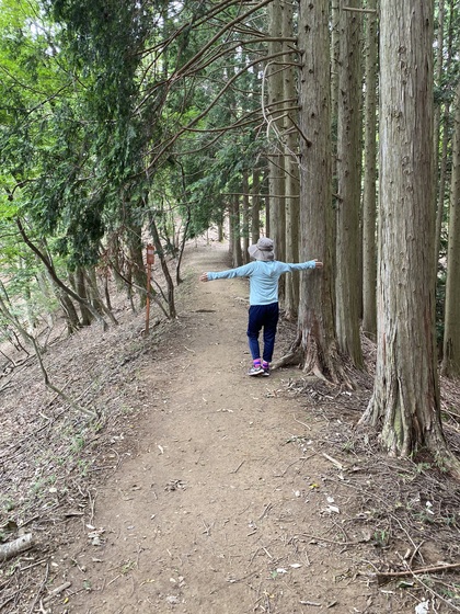 夏、妙見山ハイキング