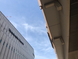 今日から6月がスタート