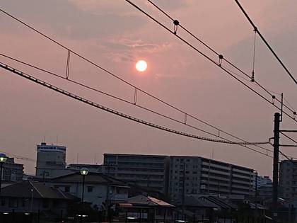 お盆休みの過ごし方